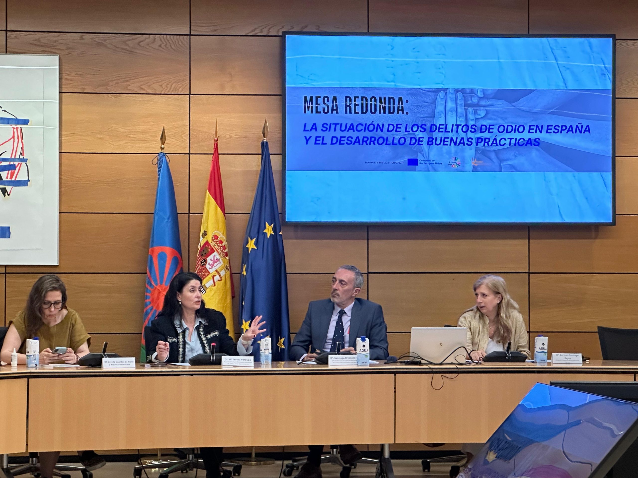 Fotografía de la presidenta de la AINODI, María Teresa Verdugo Moreno, interviniendo en la mesa en la que participó