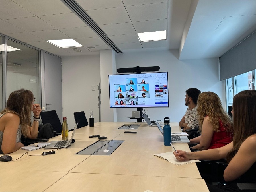 Imagen de la reunión telemática desde la sede de la AINODI.