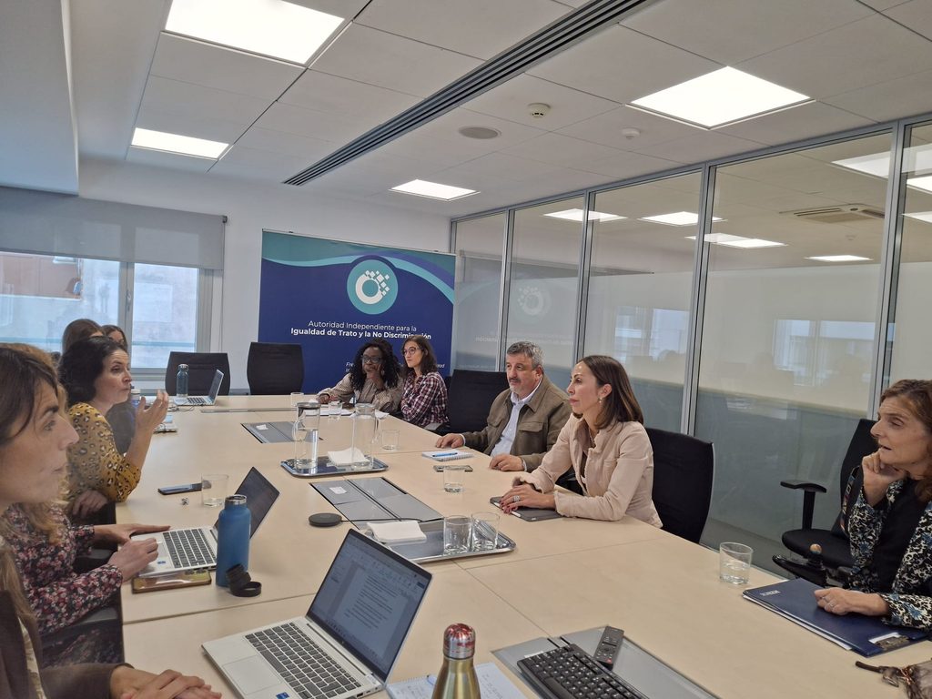 Personal de la AINODI y de la asociación Segundo Maestro en una sala de reuniones